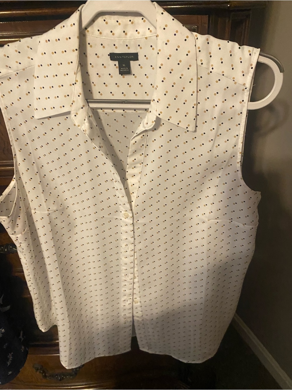 Ann Taylor Sleeveless Polka Dot Button Down Shirt XL